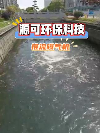 你见过这种推流曝气机吗 #推流曝气机 #水生态保护 #智能化喷泉曝气机 #喷泉曝气机厂家 #源可环保科技